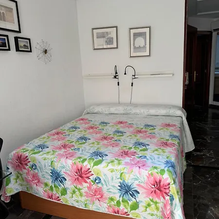 Lovely Cartago Daire *